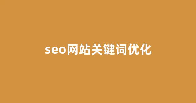 搜索引擎优化seo