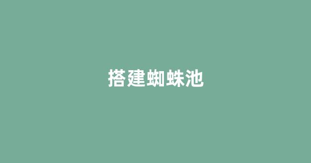 seo网站优化